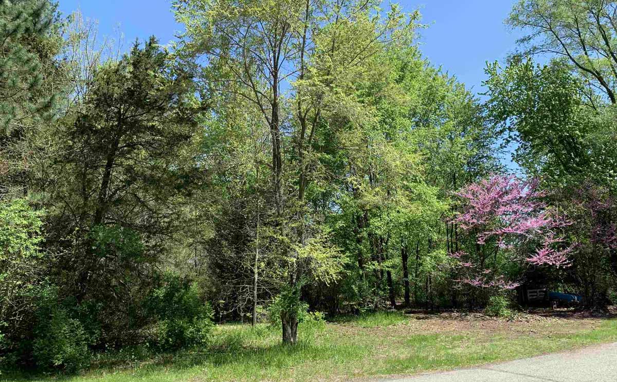 .55 acre property for sale on Castle Drive in Bristol, Indiana